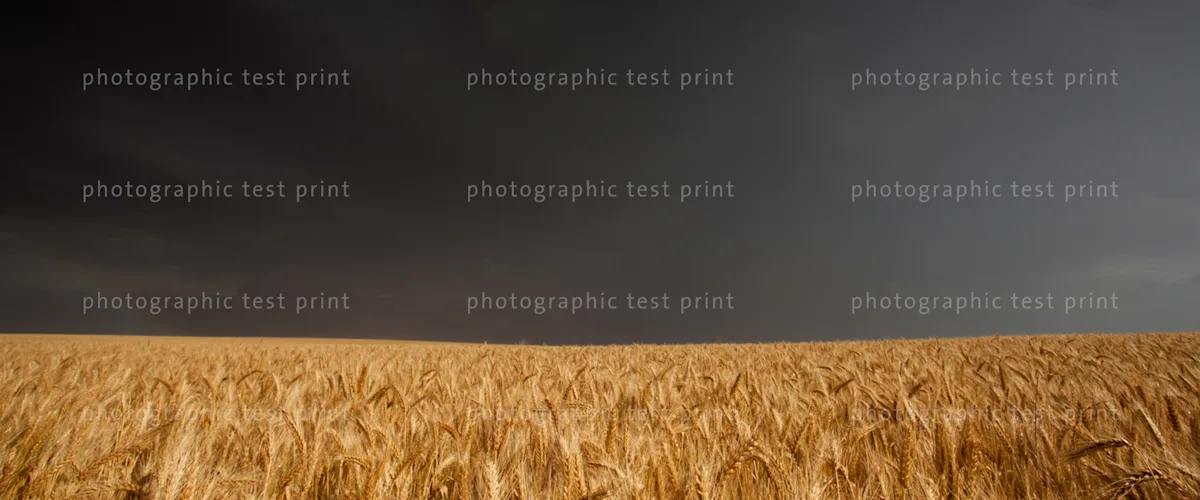 LP | Beratung | Image Slider Section | Testprint An example topic for a digital appointment are test prints. The image shows the watermark on a testprint.