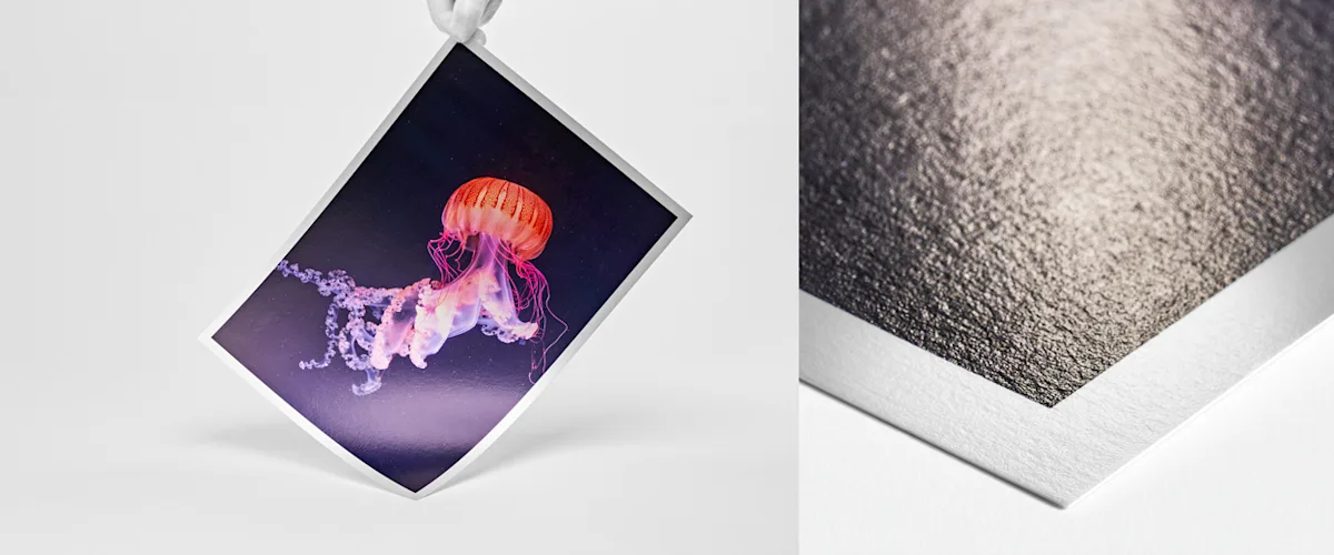 Fine Art Print Hahnemühle Photo Rag Metallic Hand with white gloves holding fine art print with jellyfish motif on metallic glossy baryta paper.