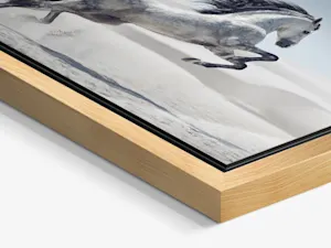 Floater Frame