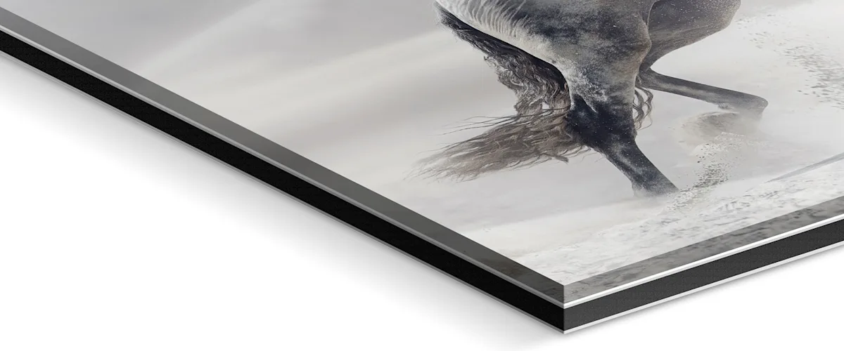 PDP | Floater Frame | Image Slider Section | Slide #3 | Media #1 Close up of the support material.