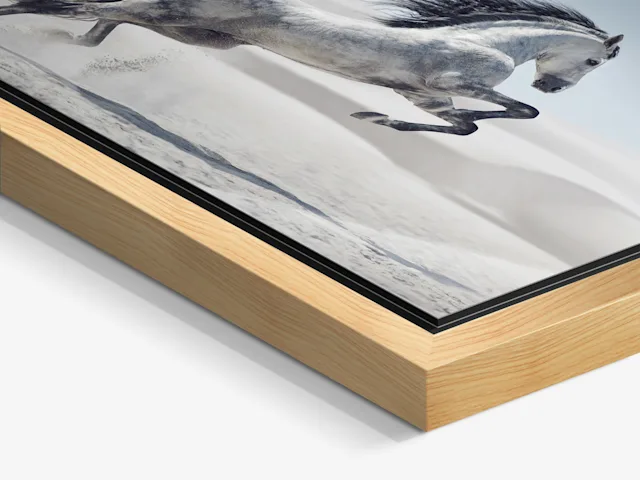 PDP | Floater Frame | Product Selector Section | Media #2 Close up of the image of a white horse jumping in a desert landscape framed in a Floater Frame.