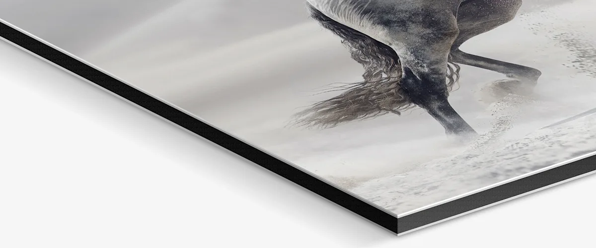 PDP | Floater Frame | Image Slider Section | Slide #2 | Media #1 Close up of the support material.