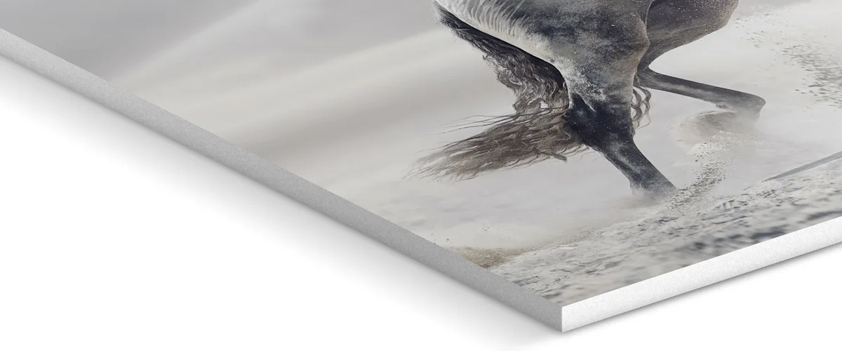 PDP | Floater Frame | Image Slider Section | Slide #5 | Media #1 Close up of the support material.