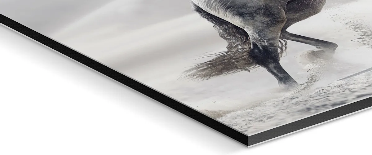 PDP | Floater Frame | Image Slider Section | Slide #4 | Media #1 Close up of the support material.