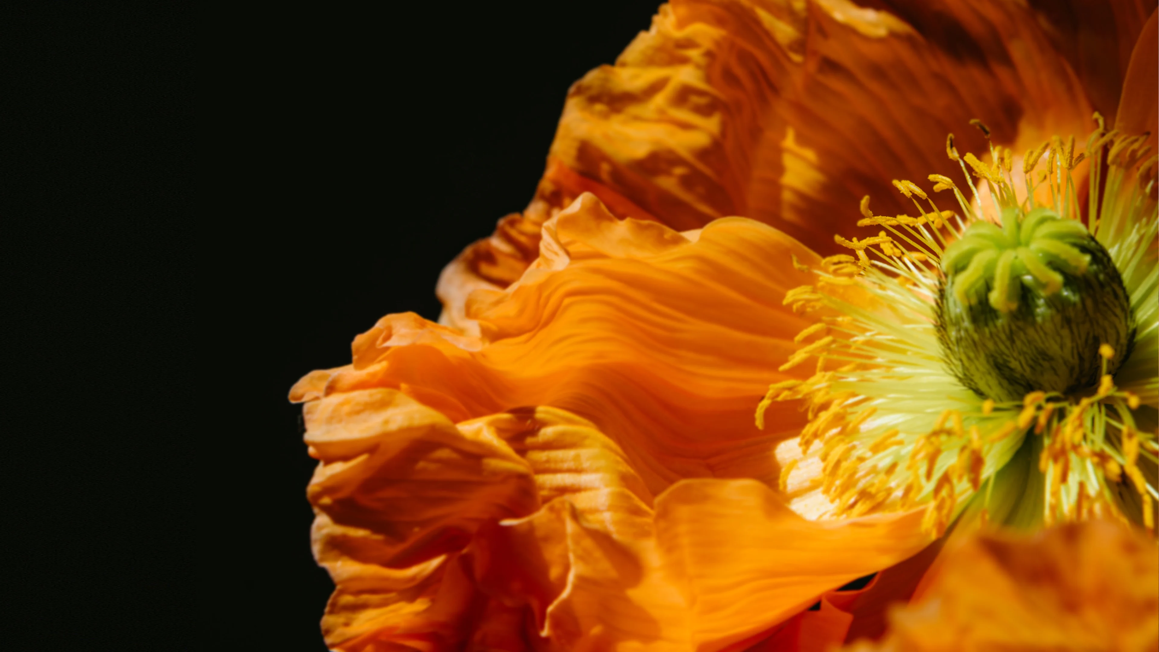 enhance LP | Comparison Slider ultraHD sharpening | Image 1